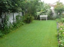 Kwikfynd Lawn and Turf
brucknell