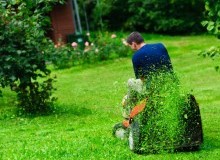 Kwikfynd Lawn Mowing
brucknell